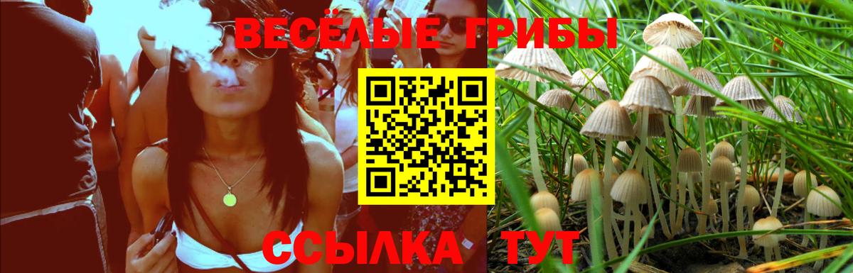 Гусиноозёрск  Псилоцибиновые грибы прущие грибы  Вход с VPN 